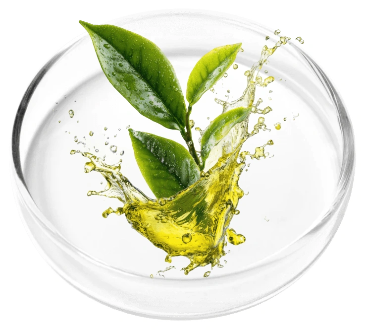 Tea tree oil for KeraFirm Pro
